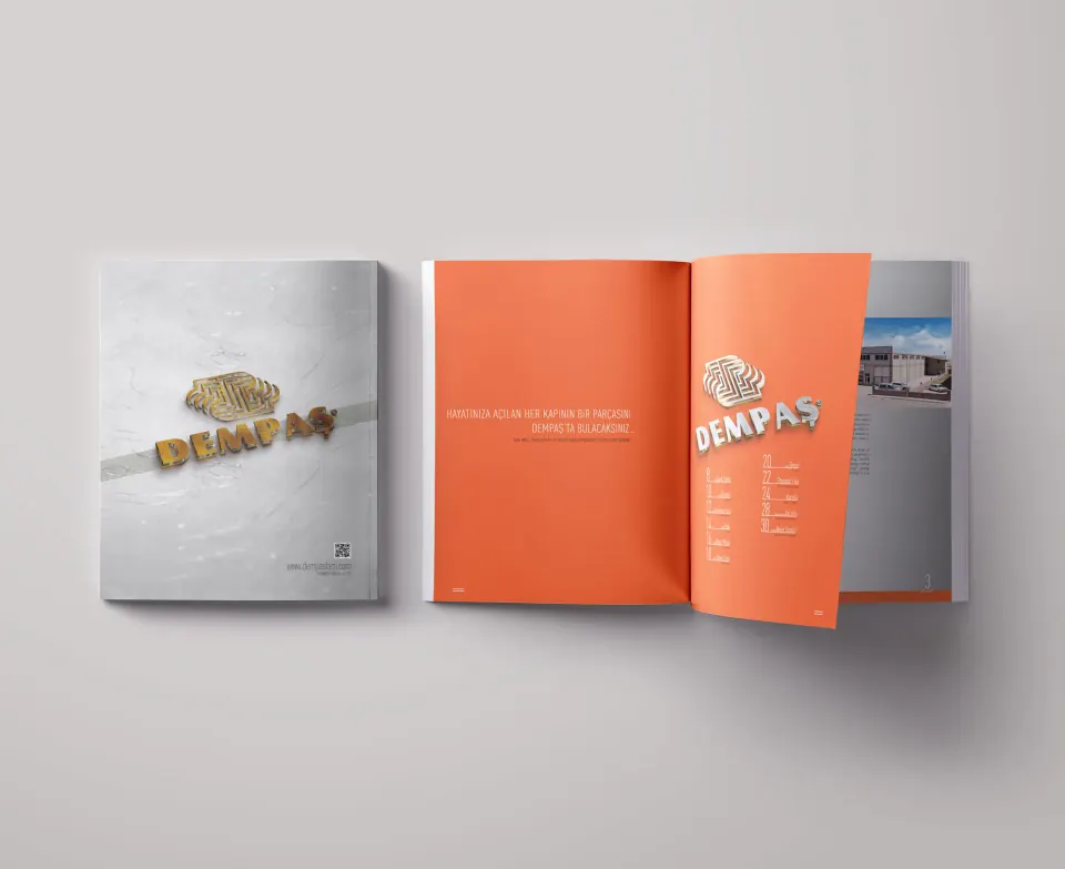 DEMPAŞ 2013 katalog çalışması