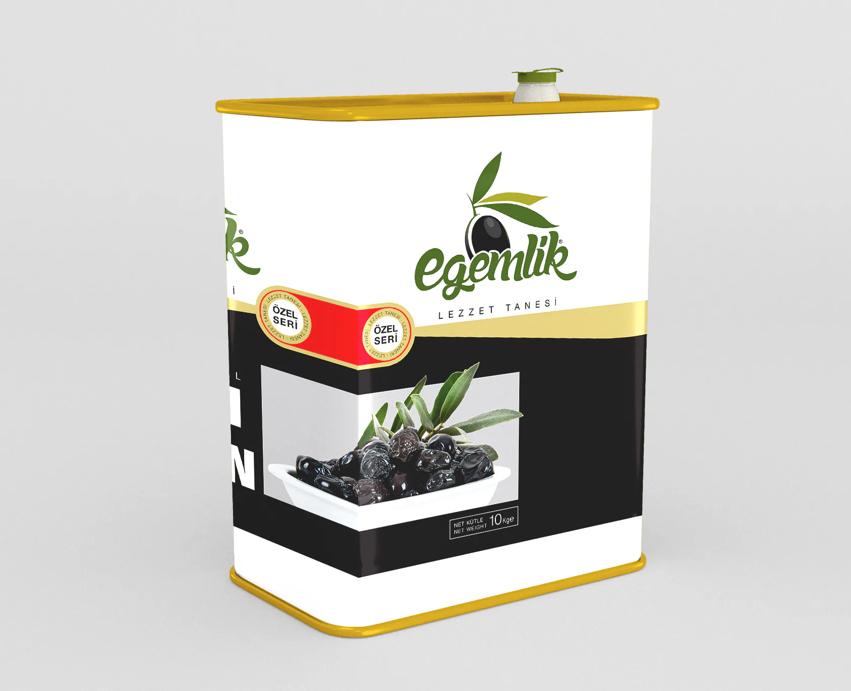 EGEMLİK proje uygulaması 1