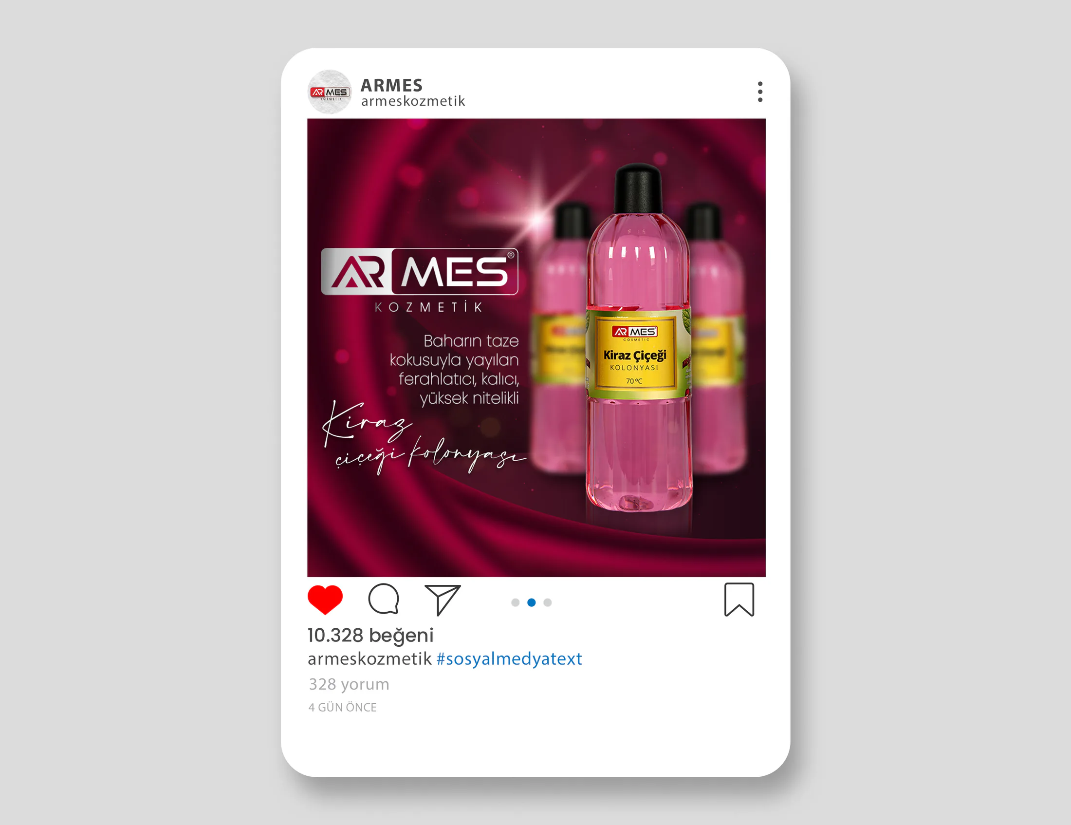 ARMES proje uygulaması 8