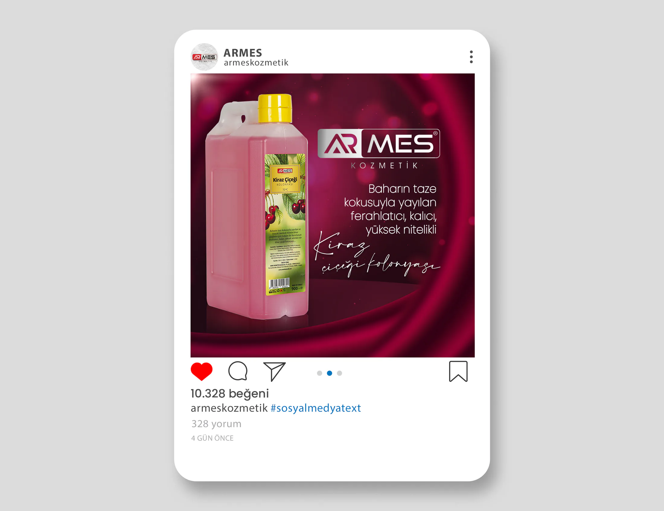 ARMES proje uygulaması 19