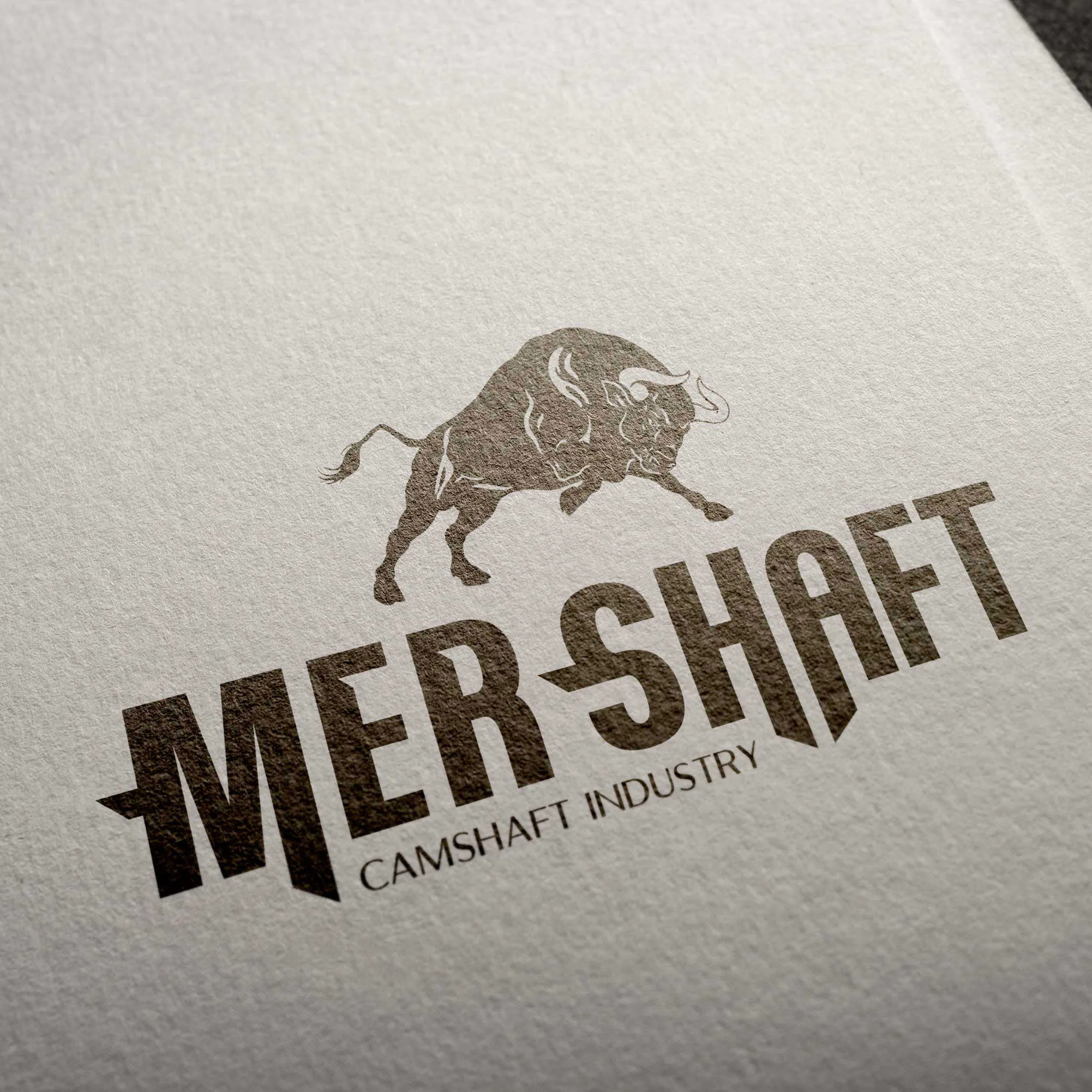 MER SHAFT projesi kapak görseli