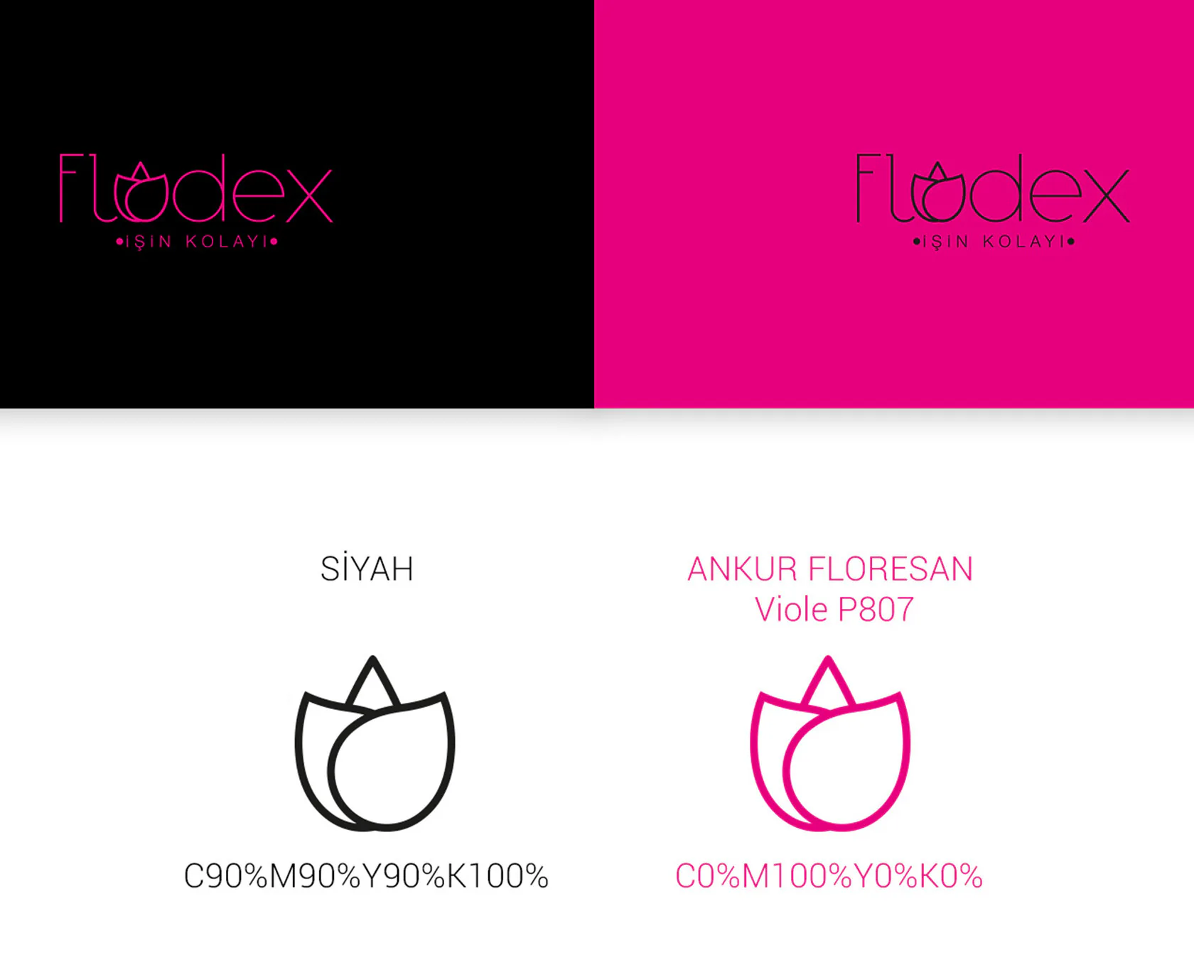 FLODEX proje uygulaması 1