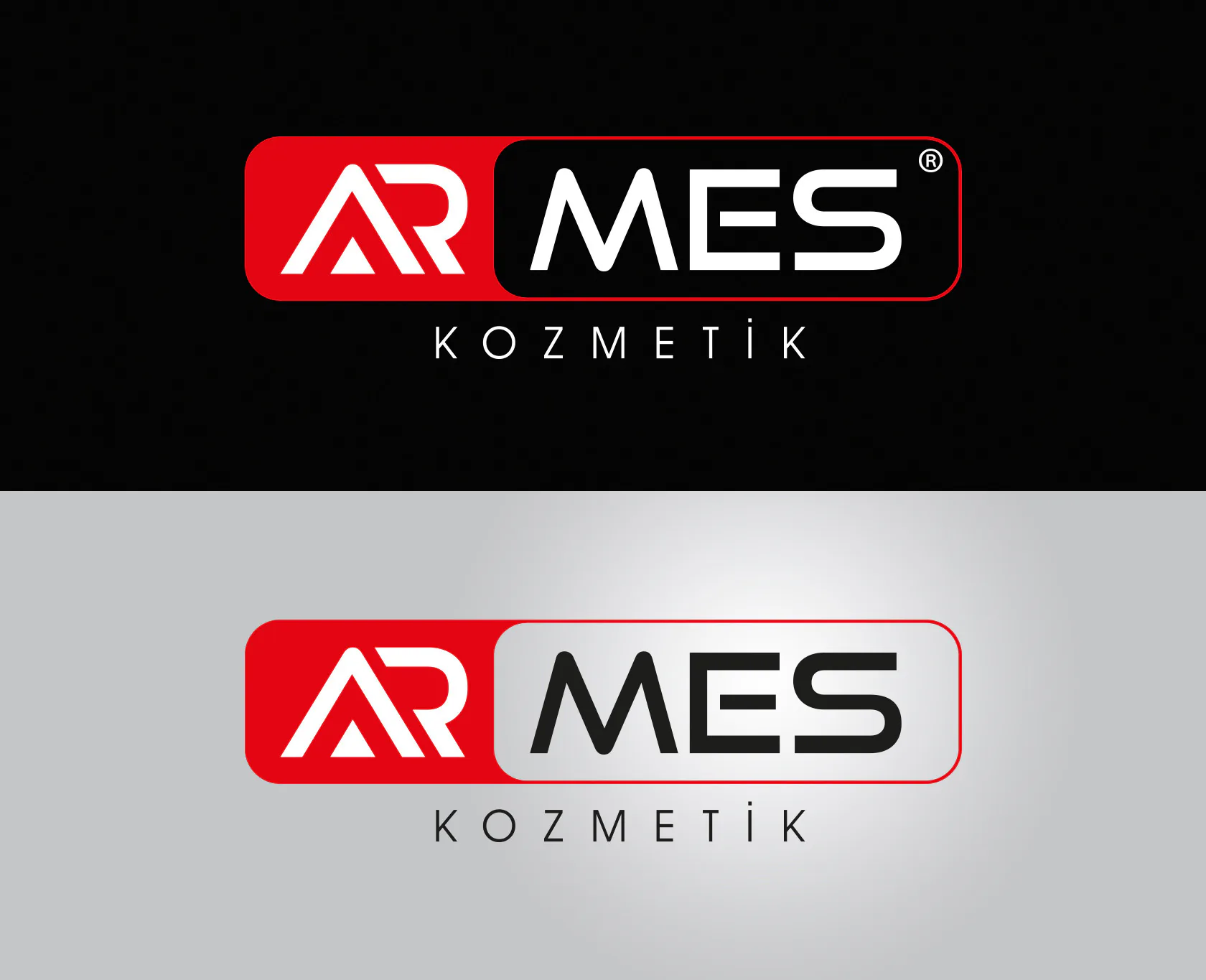 ARMES projesi kapak görseli