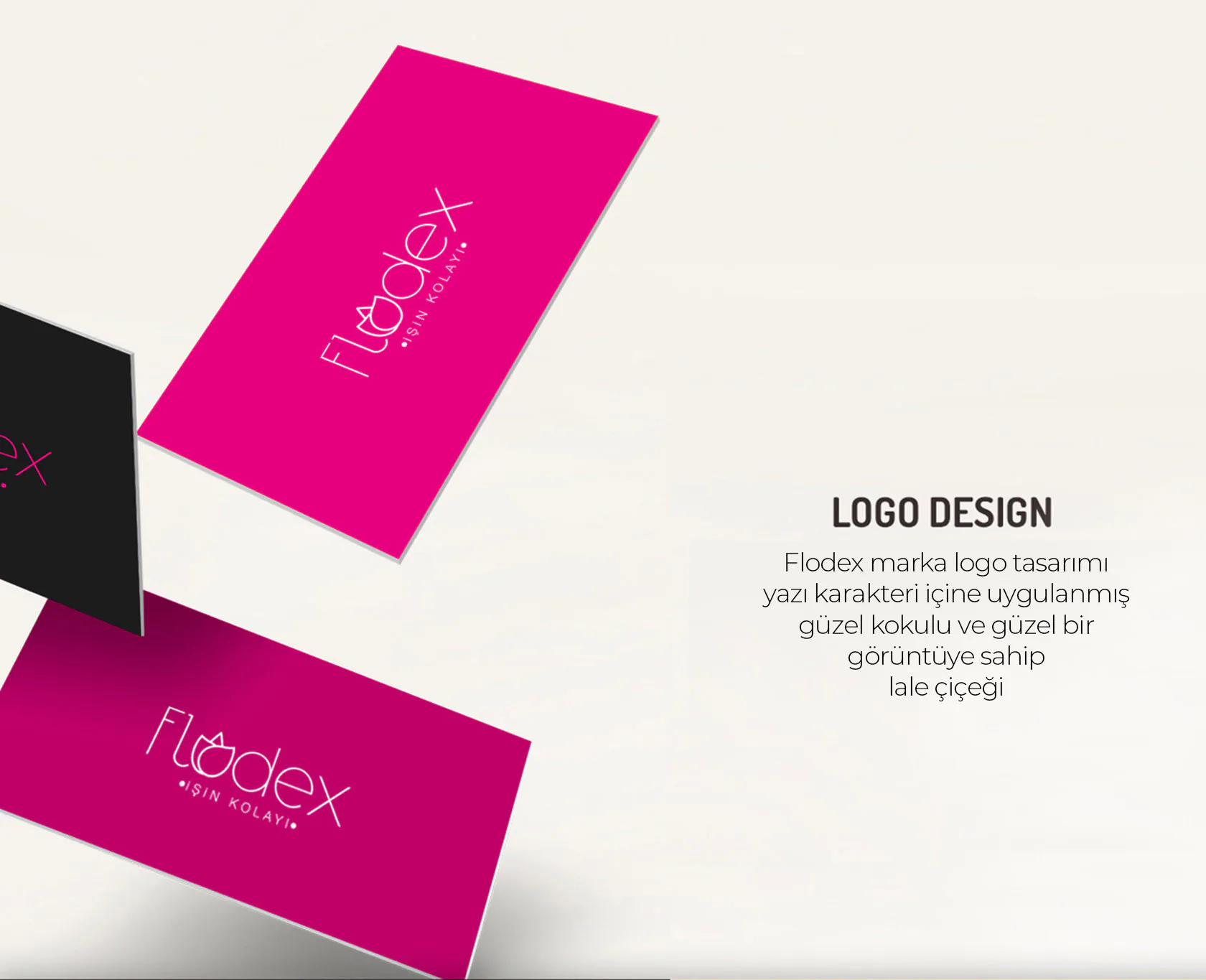 FLODEX proje uygulaması 2